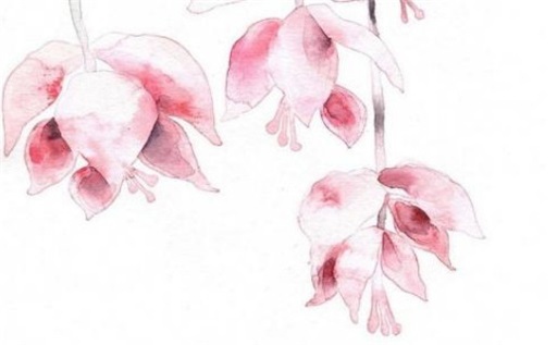 2027年04月03日出行黄历查询