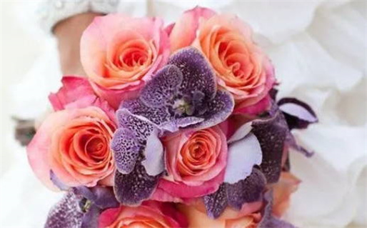 三藏生辰八字算命网(三藏生辰八字算命网查询)