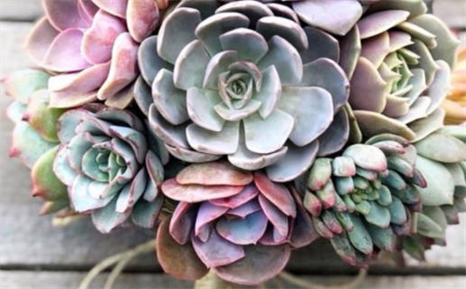 农历八字算命揭示婚姻命运的秘密