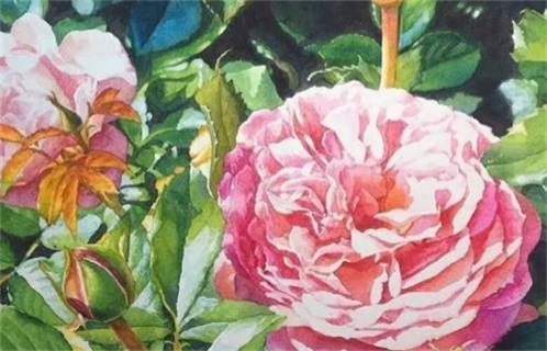 2026年11月30日动土黄历查询