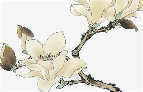 今日万年历2029年01月07日开工的好日子,动土吉日
