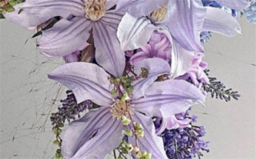 2027年03月11日领证黄历查询