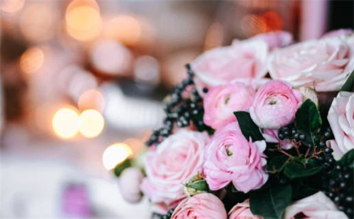 2026年11月01日领证黄历查询 2026年11月01日领证黄历查询