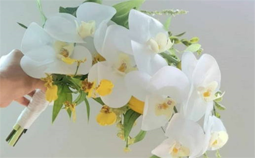 今日农历二〇三〇年三月初六黄历办证不适宜吗,领证吉日
