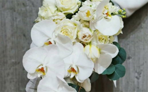 今天万年历2028年02月10日办证的好日子,领证吉日