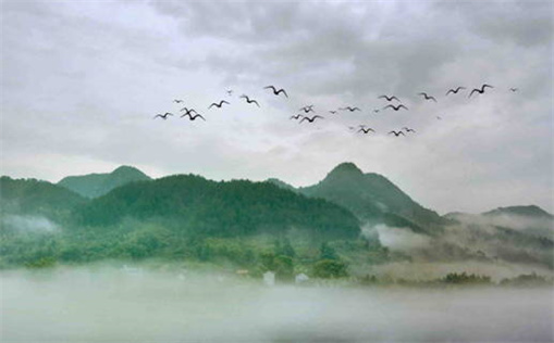 今天万年历2028年01月29日婚姻登记吉日,领证好日子查询