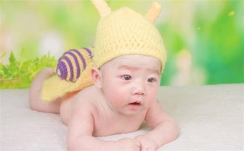 杨姓女孩子取名