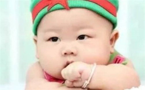 胡姓男孩子取名