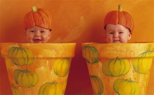 张姓男孩子取名