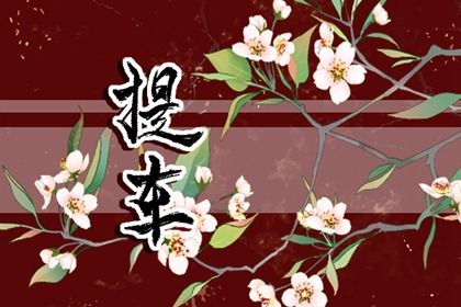 2033年12月04日提车黄历查询